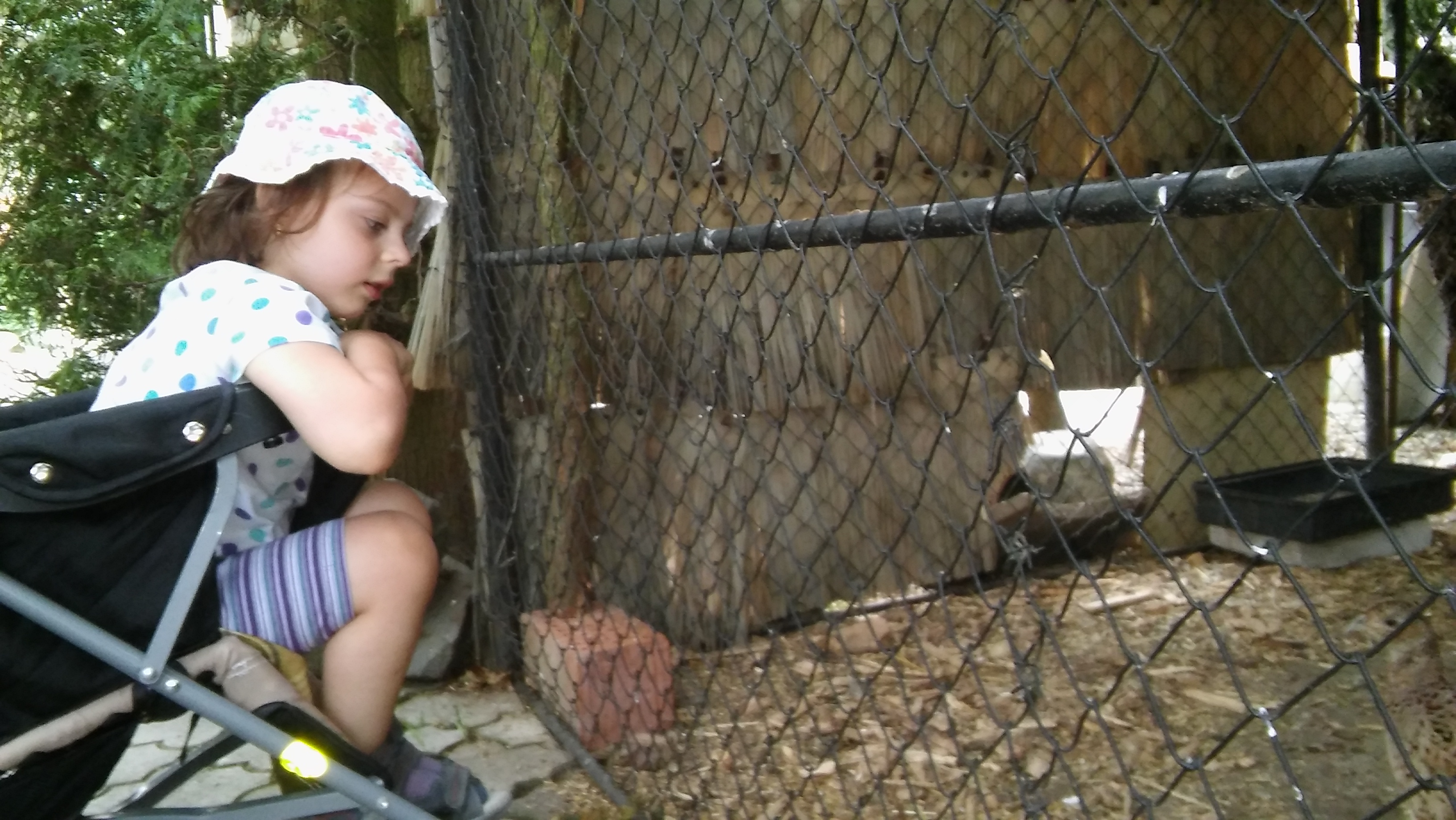 Zoo Stropkov 2016 (23)