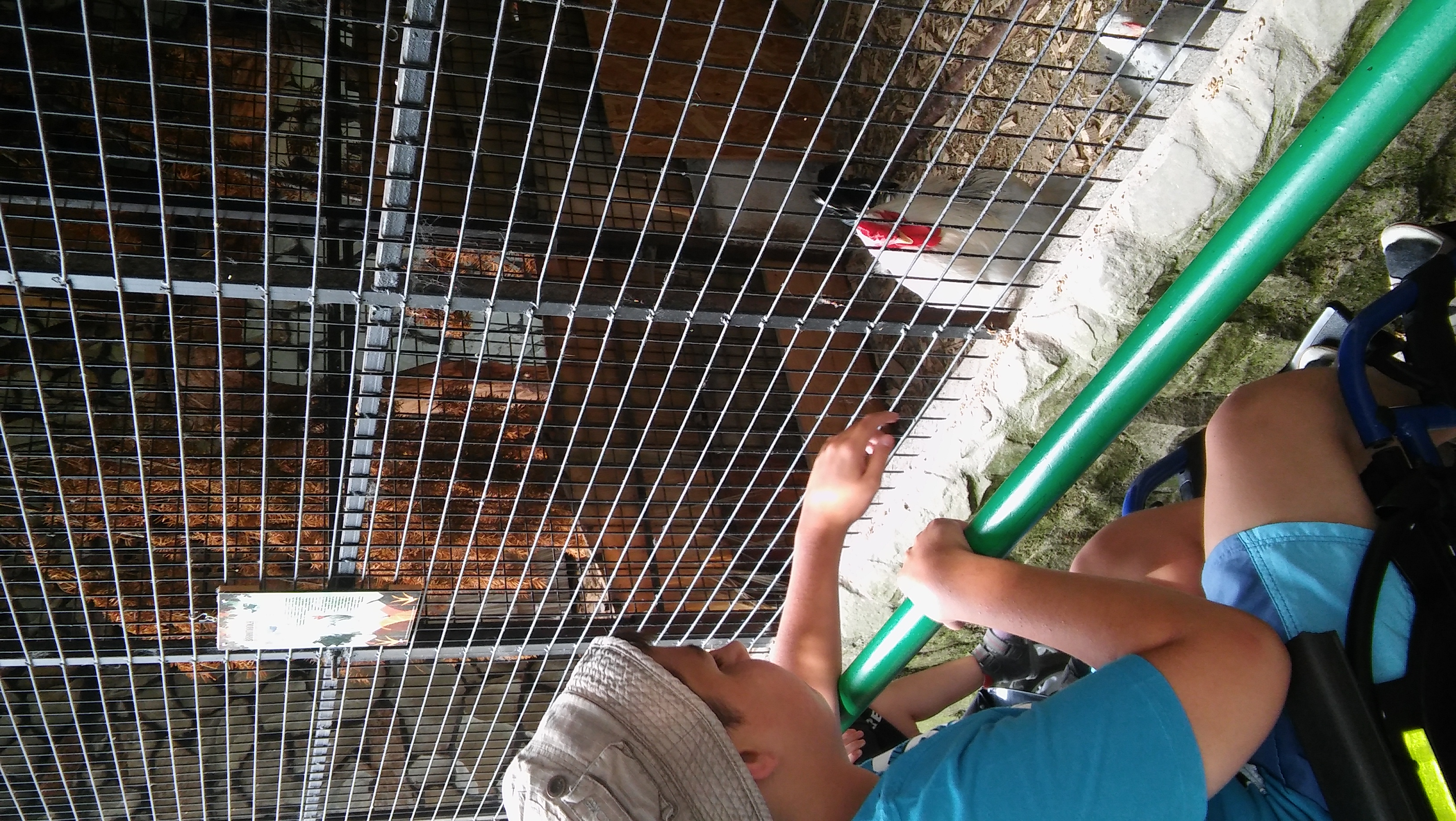 Zoo Stropkov 2016 (16)