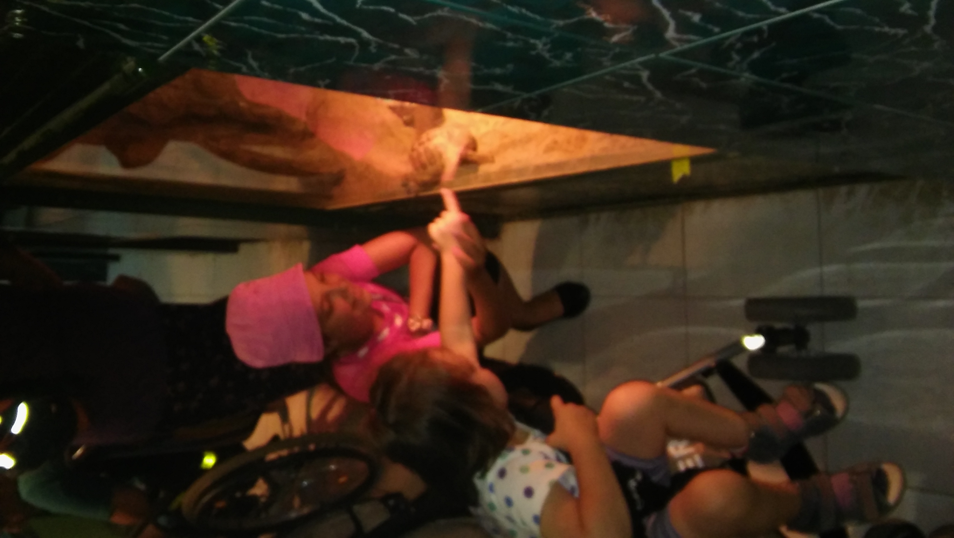 Zoo Stropkov 2016 (21)