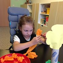 13921209_554608961407109_220017542978403479_n